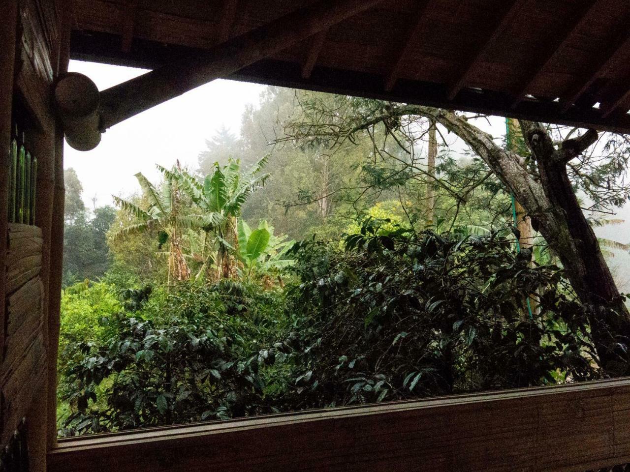 Eco Hotel El Columpio Salento Kültér fotó