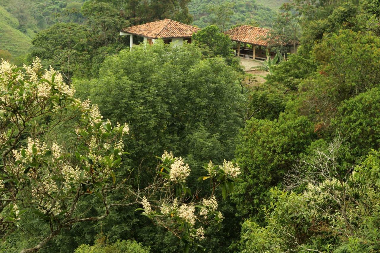 Eco Hotel El Columpio Salento Kültér fotó